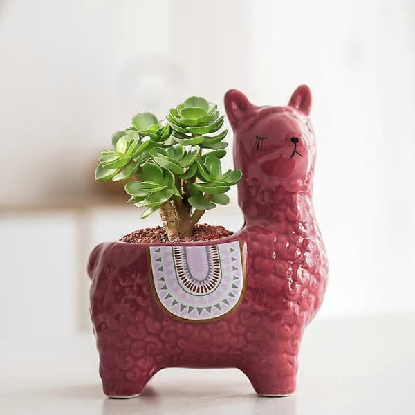 Tåliga Blomkrukor för Plantering Miljövänligt Keramikmaterial Alpaca white