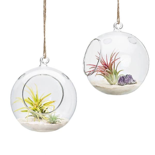 Hængende glas urtepotte 15 cm 2-pak