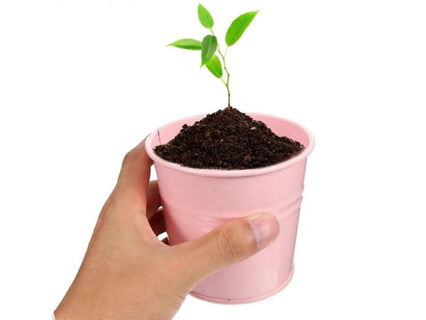 3-delars Metall Blomkruka Set Örtväxt Planterare med 10 Mini Griffeltavlor