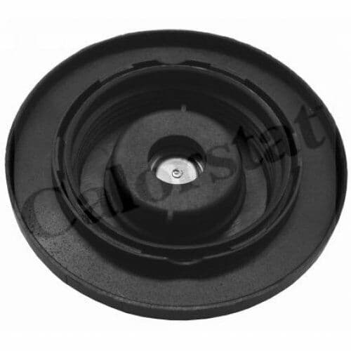 Radiatorlock/vattenbehållarlock för Jaguar X761X200 C2P17700~03993