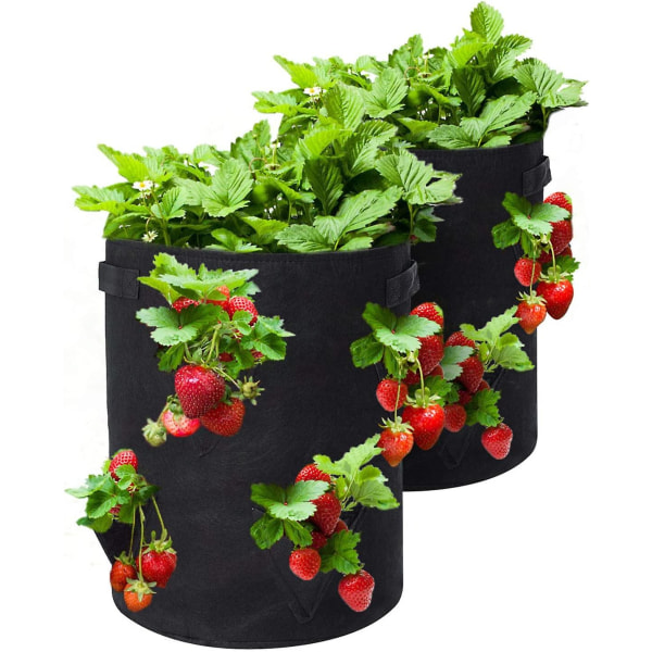 Uppgraderade jordgubbsodlingspåsar, 2-pack 10 gallon med 8 odlingspåsar