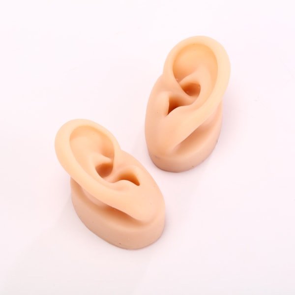 Silikon näsa modell kroppsdel ​​display modell ear