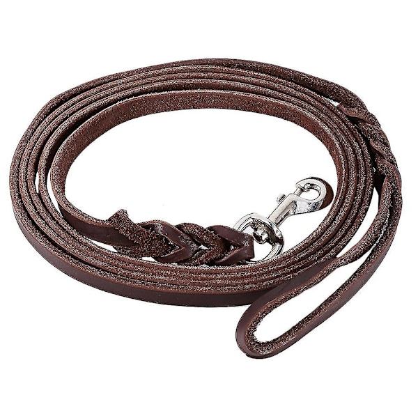 Pets' Durable Braided Leather Training Leash - Long Walking Lead