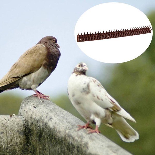 12-pack Anti Bird Sting Pest Control Threat Owl Wall Nails