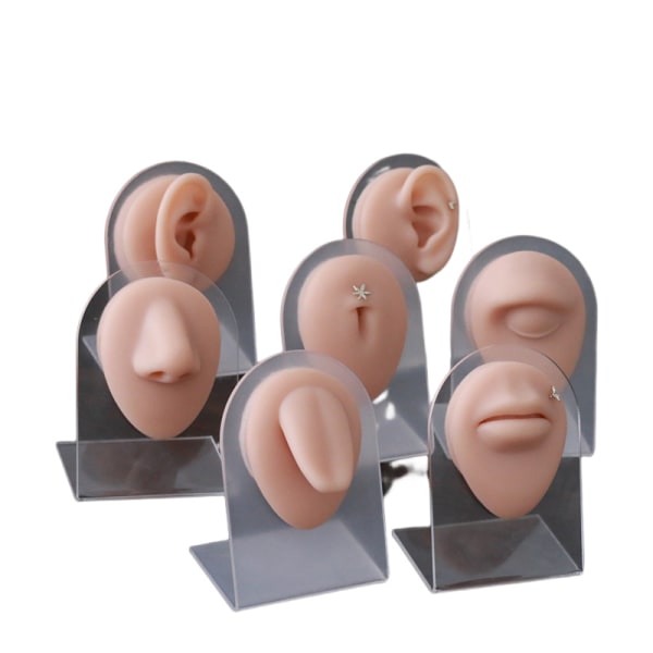 Silikon näsa modell kroppsdel ​​display modell mouth