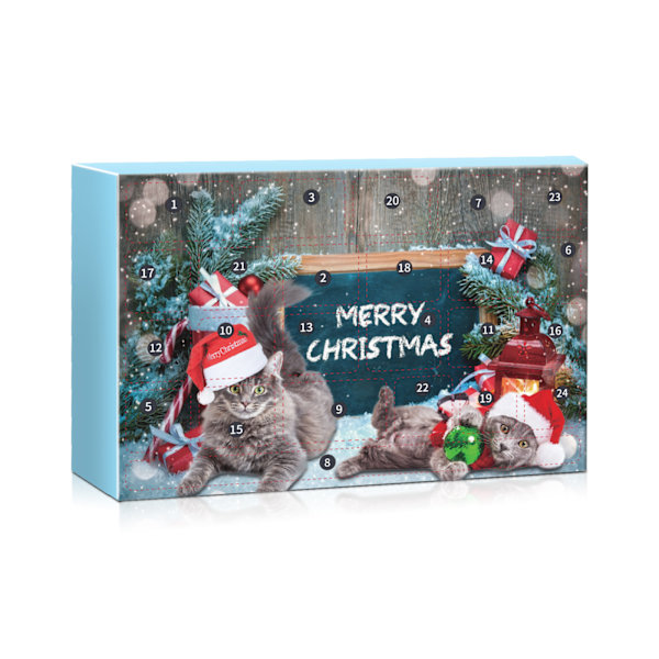 Ny Produkt Katt Adventskalender Julnedräkning Katt Adventskalender Jul Blind Box Set cat blind box