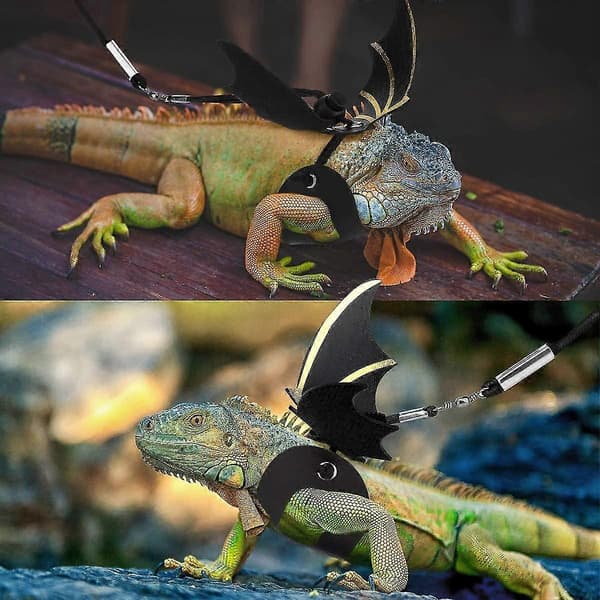 Läderreptil Koppel Utomhussele Koppel Med Bat Wings Justerbart Koppel 3 Storlekar
