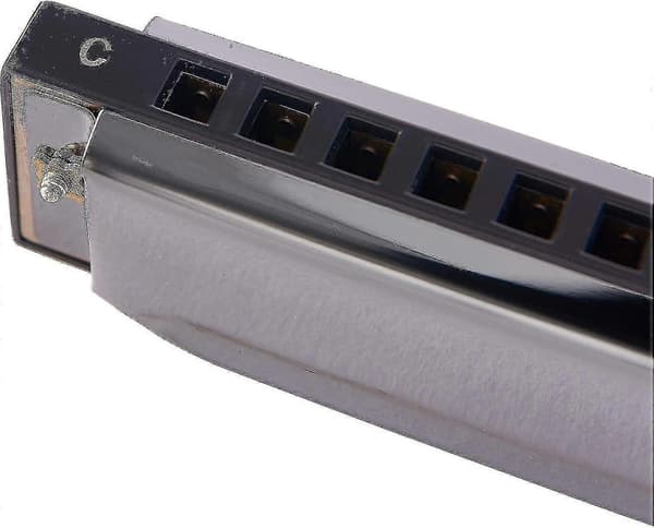 10 Huller 20 Harmonika Blues Deluxe Harmonika Begynder C Harmonika - Sort