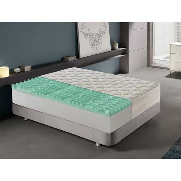 Memory foam madrass - 9 olika zoner - Höjd 25 cm - Avtagbart aloeöverdrag 140 x 190 cm