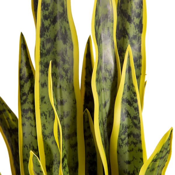 Lykke Tekokasvi Snake Plant 65cm