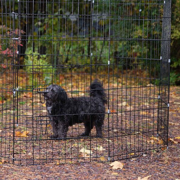 Trekker Hvalpegård M, 8-Panel 61x76cm