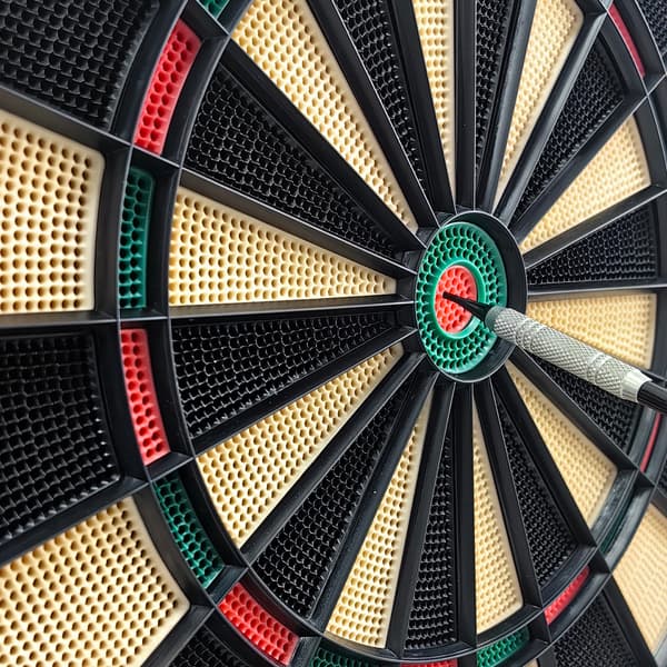 React Darts-taulu Elektroninen Champion