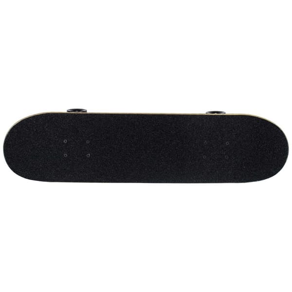 Sandbar rullalauta Shark 31X8"