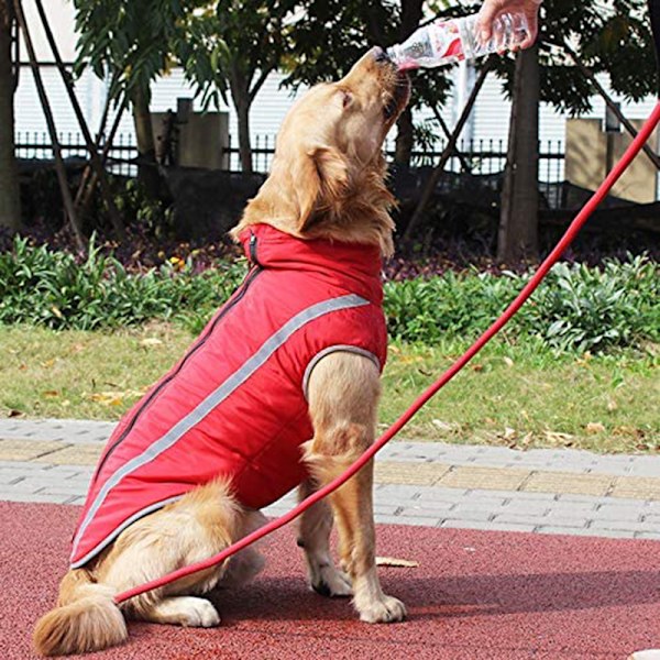 Vattentät hundkappa vinter varm jacka, vindtät husdjurskläder hundjacka outfit för små medelstora hundar med sele hål