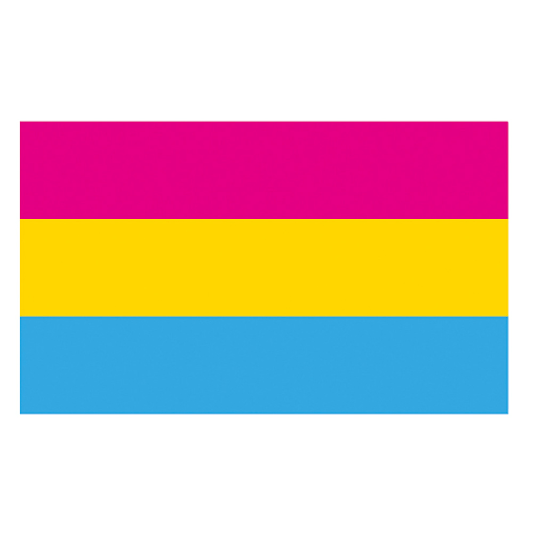 Pansexuell Pride Flagga 3x5ft - Regnbågsflagga Livfulla Färger och Bleksäker - med Öljetter