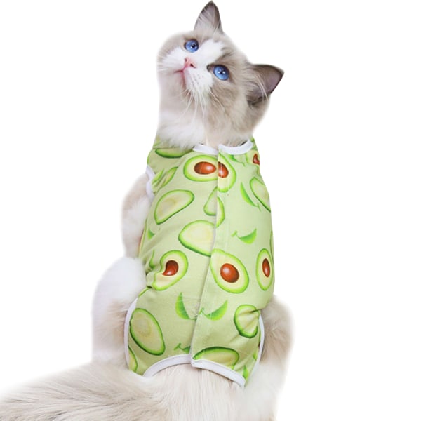 Kattes steriliserings tøj, hænder, kæledyrs postoperative genoptræningstøj, frugter, avocadoer, kæledyrstøj