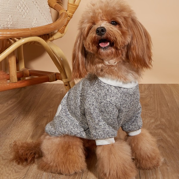 Hundtröja husdjur varma kläder på hösten och vintern hundfötter kläder fleece tryckt husdjur kläder
