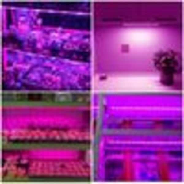 60W LED växtlampa Full Spectrum USB dimbar inomhus växtlampa växtljus med timer