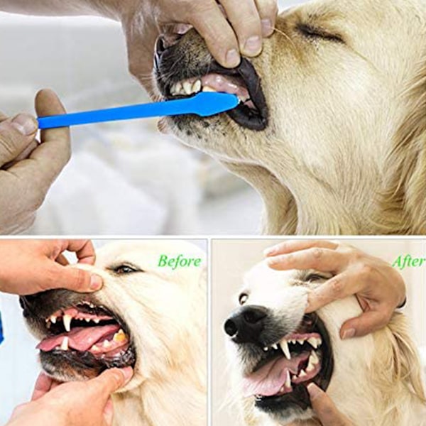 Mjuk tandborste för husdjur Hundtandborste Fingertandborste Husdjurstandborste Hundar (4 M-storlek + 4 huvudtandborste)