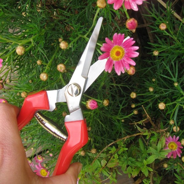 Multifunktionel Gartnersaks til Blomsterarrangementer, Beskæring af Planter, Høst af Urter og Frugter