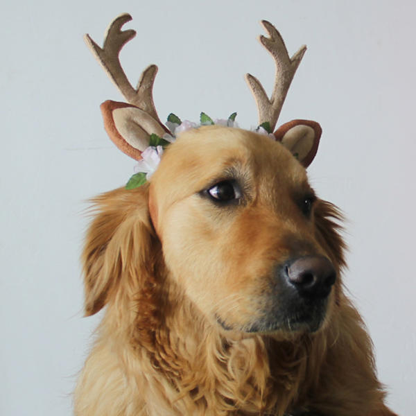 Kæledyrs Jul Hjortehorn Hårbånd Blomsterdekoration Xianqisen Hovedbeklædning Fest Festivaler Kat Hund Hårbånd