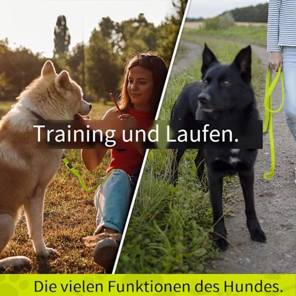 Hundesnor, 10m vandtæt snor