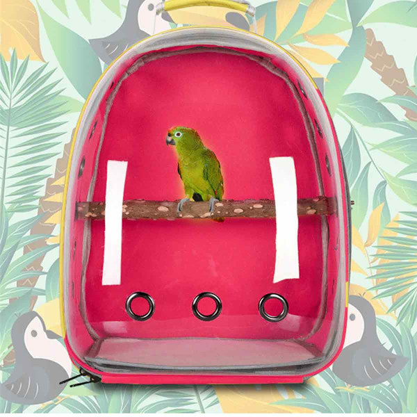 RED-Parrot Lemmikkireppu Ulkoiluun Oxford-kangas Läpinäkyvä Linnunhäkki Kannettava Kuljetus Mukava