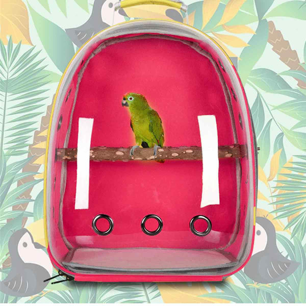 RÖD-Parrot Husdjursryggsäck Utomhus Resa Oxford Tyg Transparent Fågelbur Bärbar Transport Bekväm