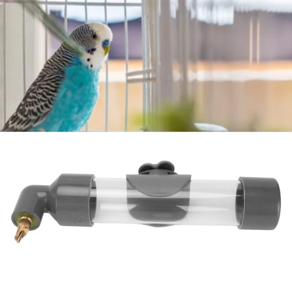 Parrot Automatisk Drikkeanordning Sikker Akryl Fugledrikkeflaske Fuglevandingsautomat til Små Mellemstore Store Papegøjer Grå