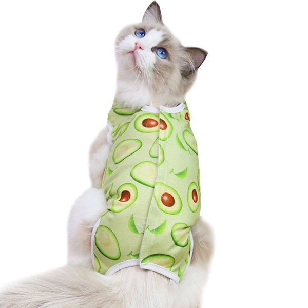 Kattes steriliserings tøj, hænder, kæledyrs postoperative genoptræningstøj, frugter, avocadoer, kæledyrstøj