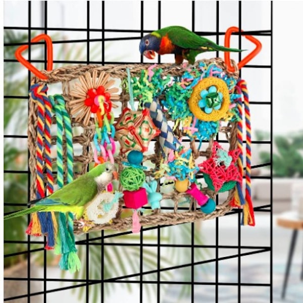 Budgie leksak, papegoja tuggleksak färgglatt naturligt trä