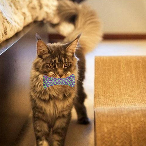 10 st katt leksaker hopfällbara fjäderformade katt studsande leksaker färgglada och intressanta husdjur interaktiva leksaker
