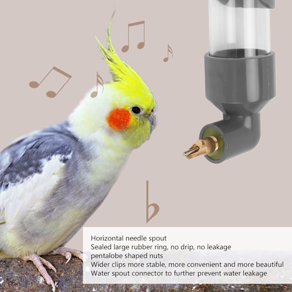 Parrot Automatisk Drikkeanordning Sikker Akryl Fugledrikkeflaske Fuglevandingsautomat til Små Mellemstore Store Papegøjer Grå