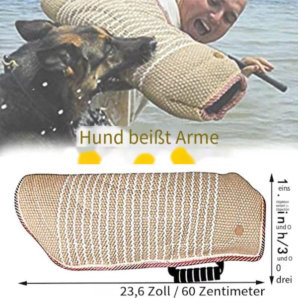 Hun så beskyttelse fra dette netværk. Alle slags hunde på dit ærme. Faste foderposeøvelser