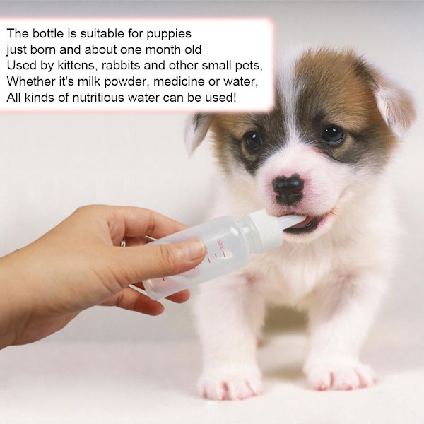 6 stk. 50 ml Sutteflaske til Baby Kæledyr - Små Dyr/Katte/Hunde/Hvalpe/Killinger
