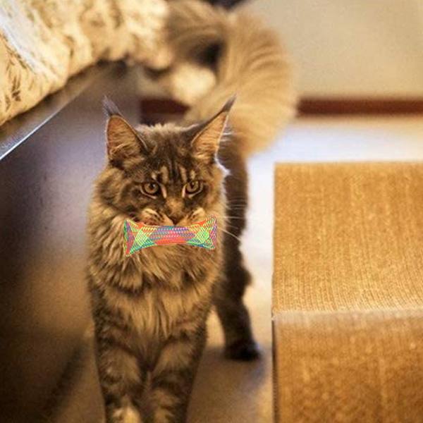 10 st katt leksaker hopfällbara fjäderformade katt studsande leksaker färgglada och intressanta husdjur interaktiva leksaker