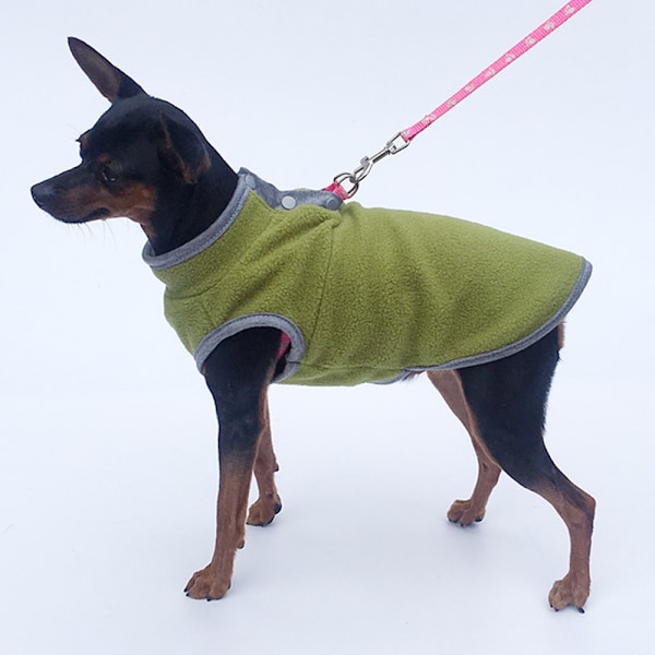 Hund vinter varm kläder husdjur kläder hund kläder ljus fleece ärmlös husdjur bipod
