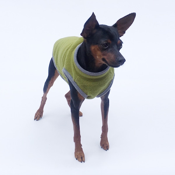 Hund vinter varm kläder husdjur kläder hund kläder ljus fleece ärmlös husdjur bipod
