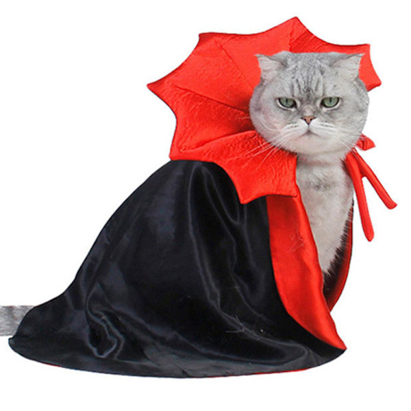 Halloween kæledyrskatte og hundekapper til at forvandle sig til heksekostumer