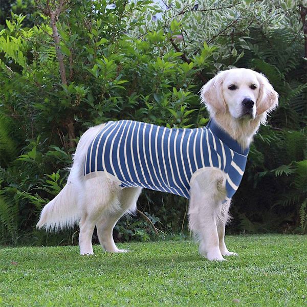 Hundegendannelsesdragt Kattedragter til Abdominal Sår Gendannelses T-shirt til Han Hun Kæledyr Kirurgisk Snug Dragt Efter Operation Anti-Slik Hund Onesies