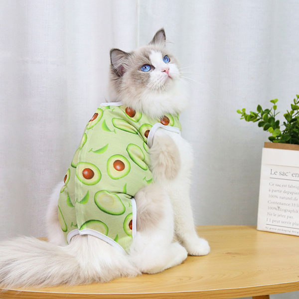Kattes steriliserings tøj, hænder, kæledyrs postoperative genoptræningstøj, frugter, avocadoer, kæledyrstøj