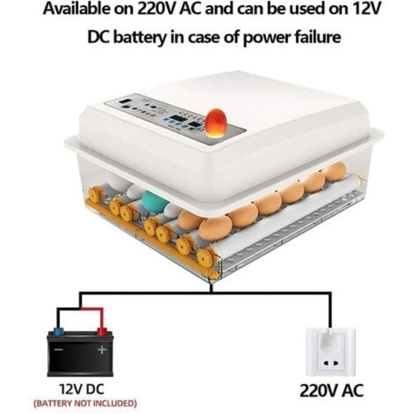 Automatisk äggkläckningsmaskin för fjäderfä, vaktel, gås, anka, duva, reptil - 16 ägg