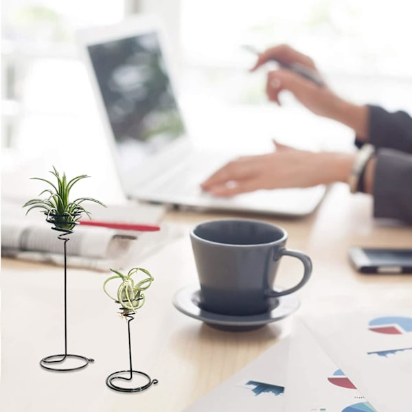 6 stycken luftväxtstöd, 3 storlekar svart järnspiral blomhållare, Tillandsia växtbehållare stativ