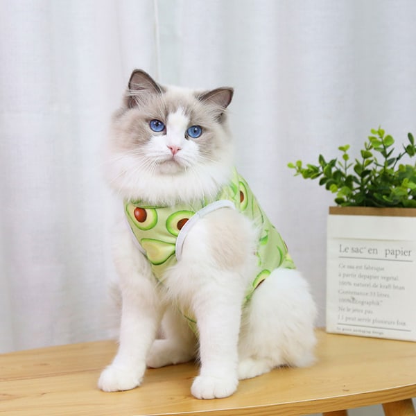 Kattes steriliserings tøj, hænder, kæledyrs postoperative genoptræningstøj, frugter, avocadoer, kæledyrstøj