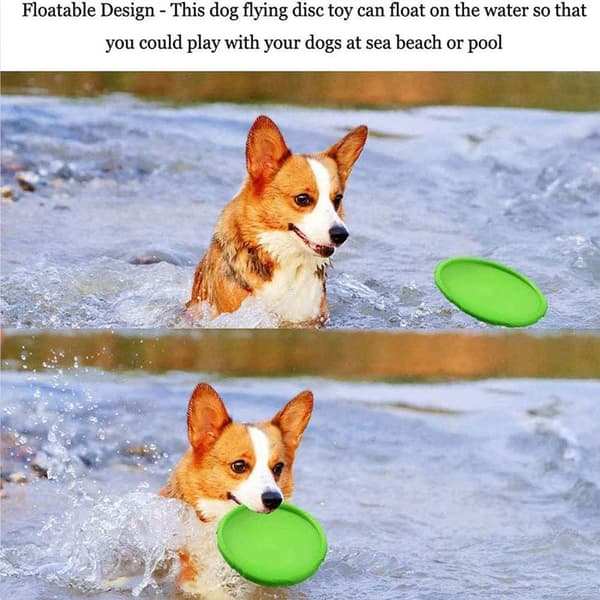 Hunde flying disc, Gummi flying disc, Hunde Scheiben, perfekt til hundetræning