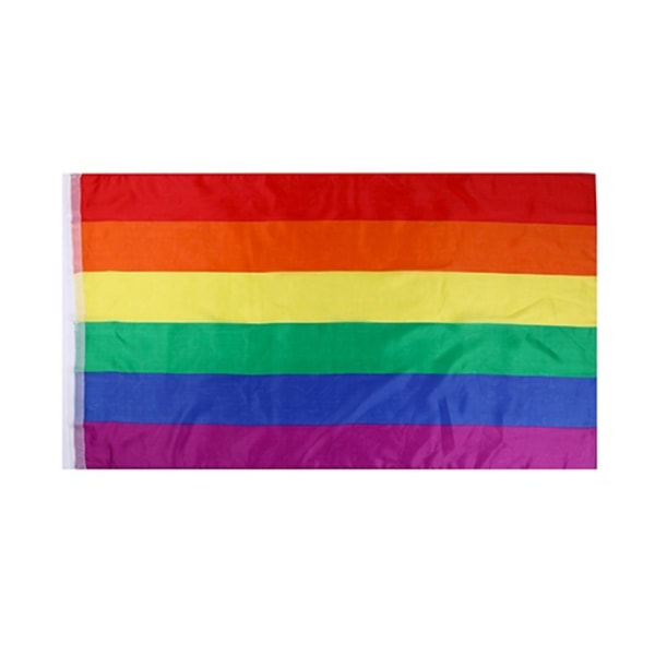 Pride flagga 20cm x 14cm 5-pack