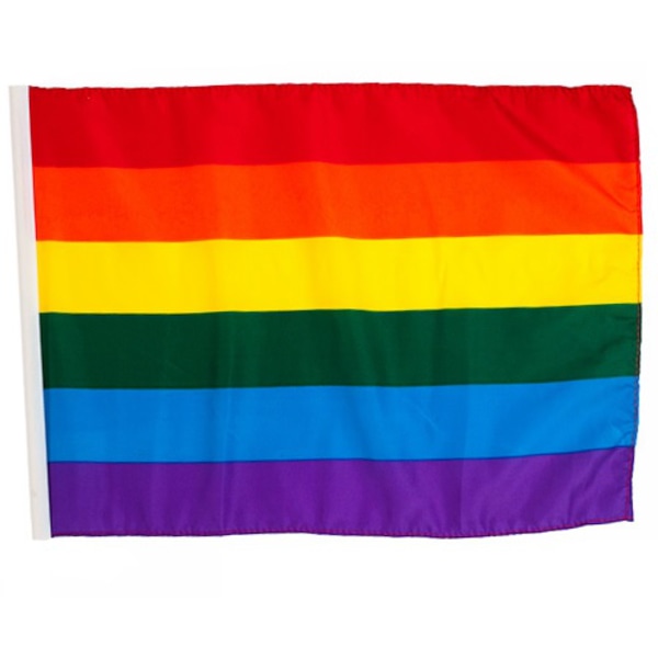 Pride flagga 30cm x 45cm 5-pack