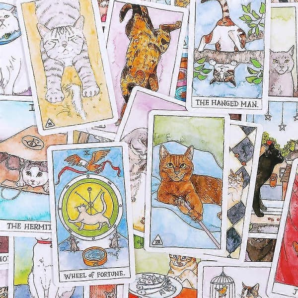 Kat Tarot Engelsk Brætspil Spådom Forudsiger Multiplayer Spil