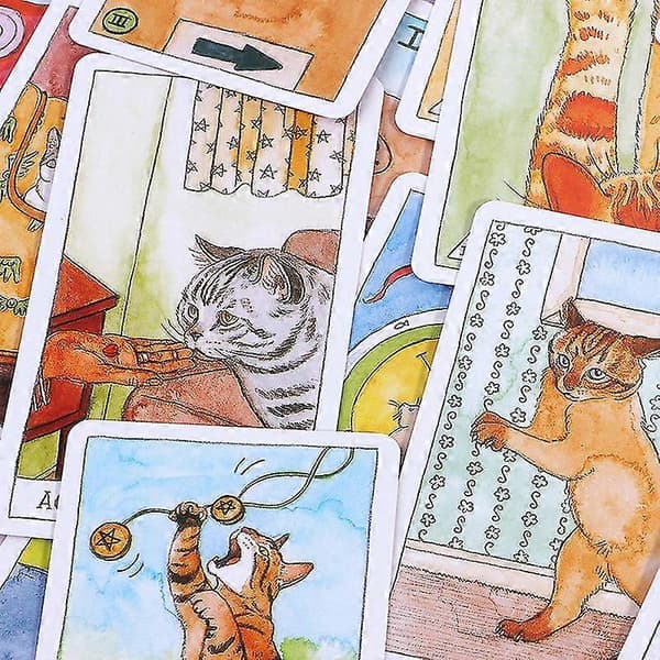 Kat Tarot Engelsk Brætspil Spådom Forudsiger Multiplayer Spil