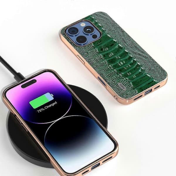 ABEEL Plating Weilai -sarjan puhelinkotelo iPhone 16 Pro Maxille
